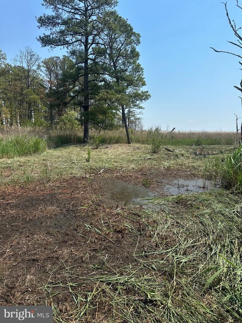 3241 Robbins Road photo 45