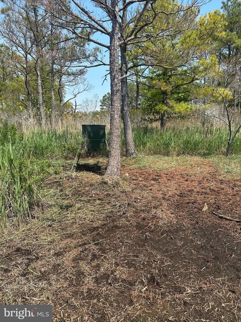 3241 Robbins Road photo 46