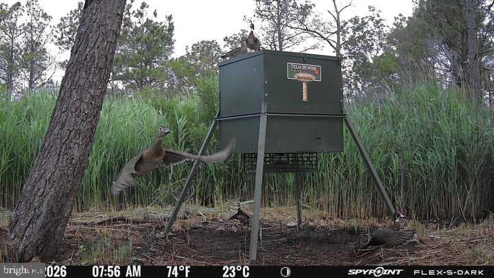 3241 Robbins Road photo 7
