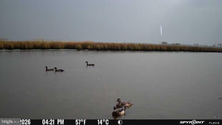 3241 Robbins Road photo 9
