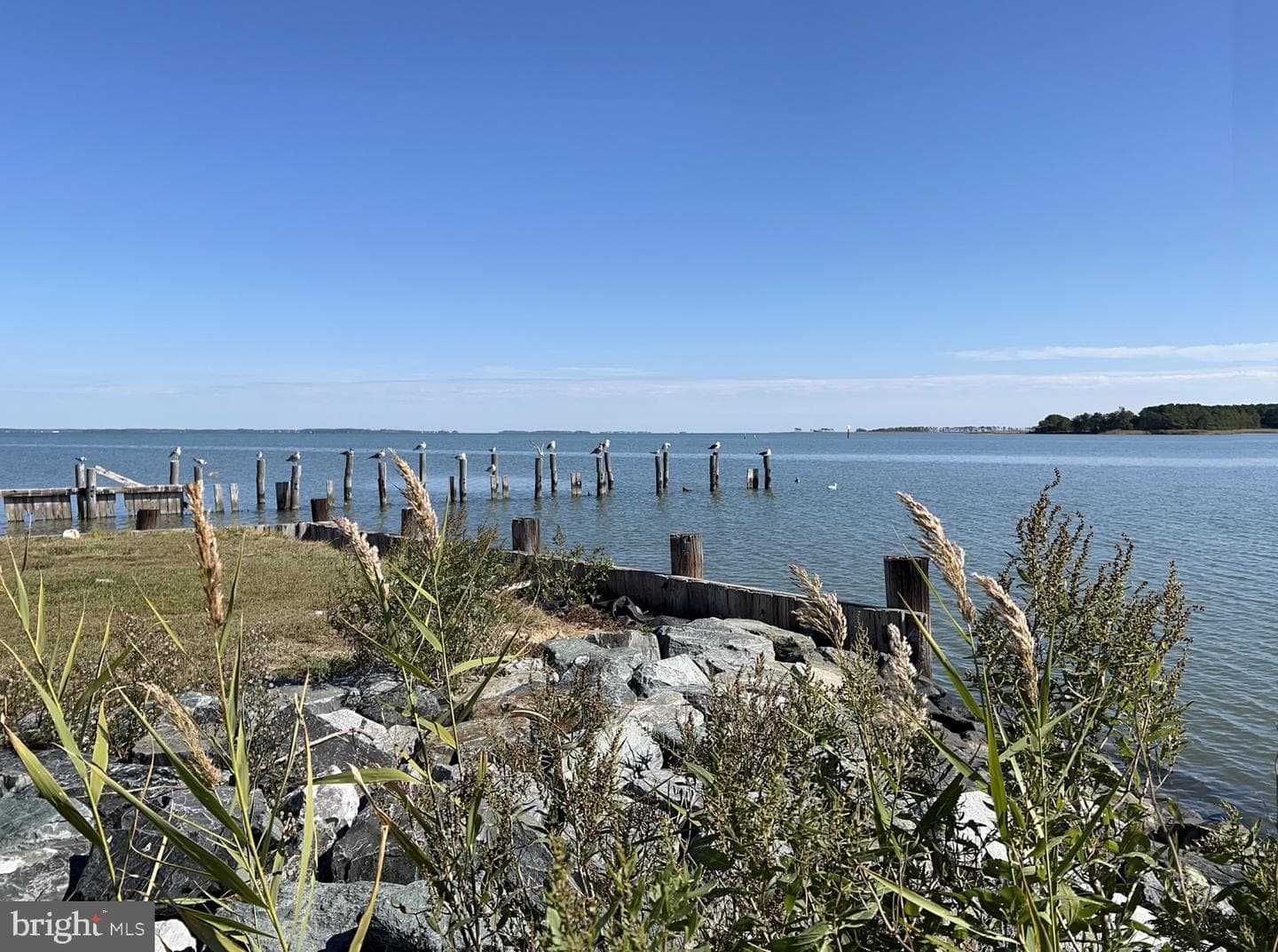 1632 Steamboat Wharf Road S photo 22