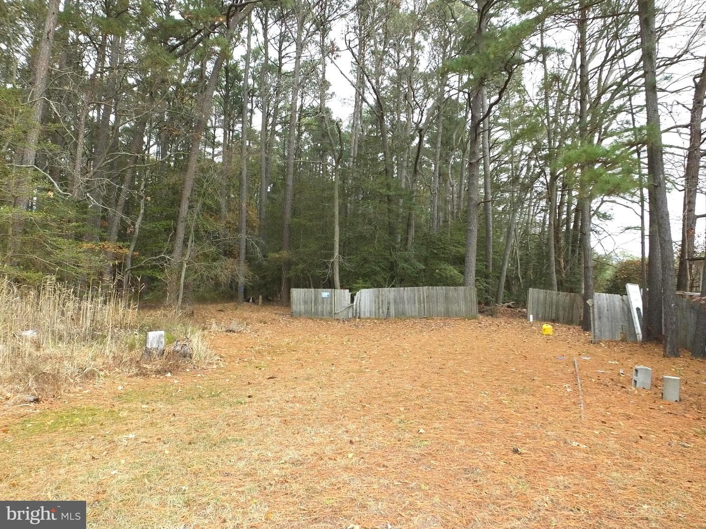 2530 Toddville Road photo 7