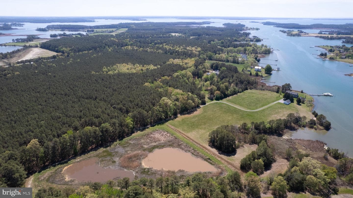 5704 Ross Neck Road photo 4