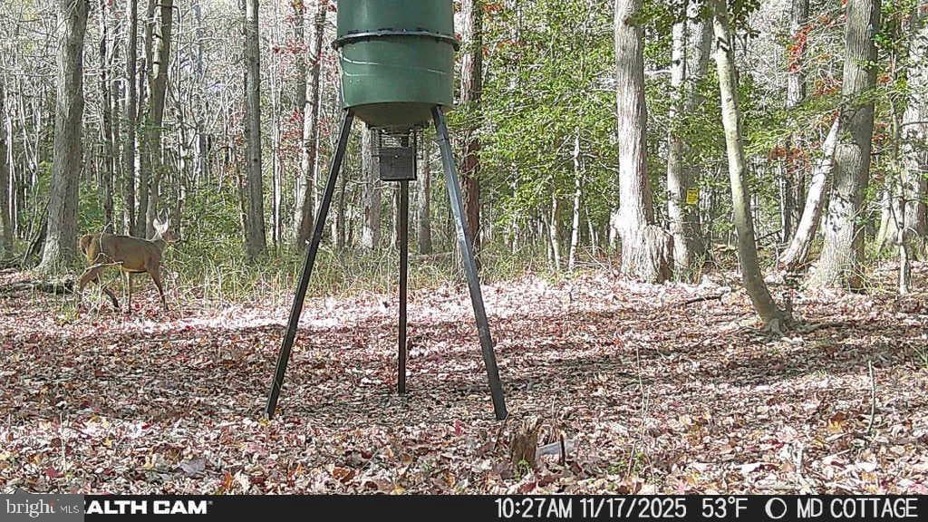 4424 Hoopers Neck Road photo 11