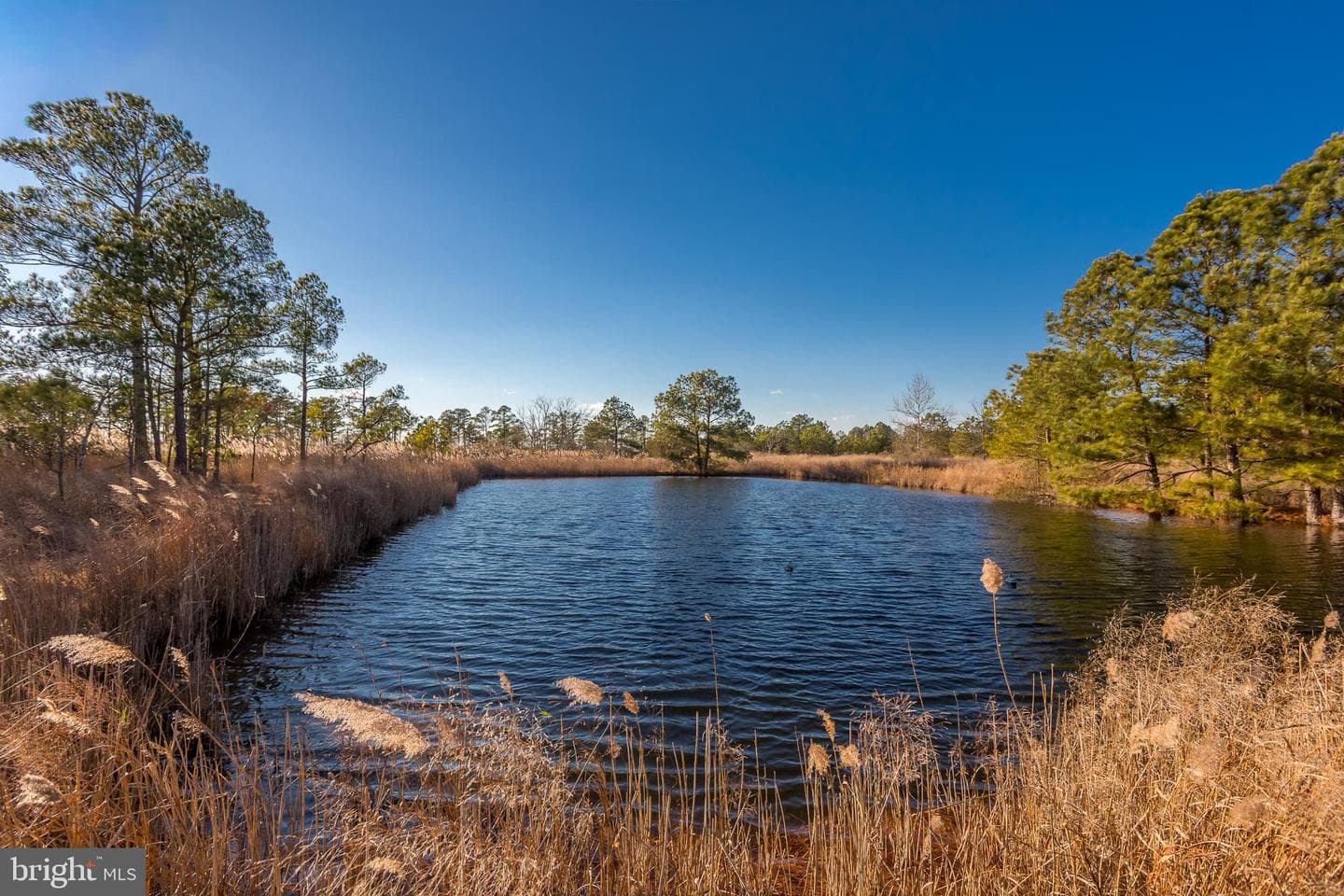 3819 Maple Dam Road photo 43
