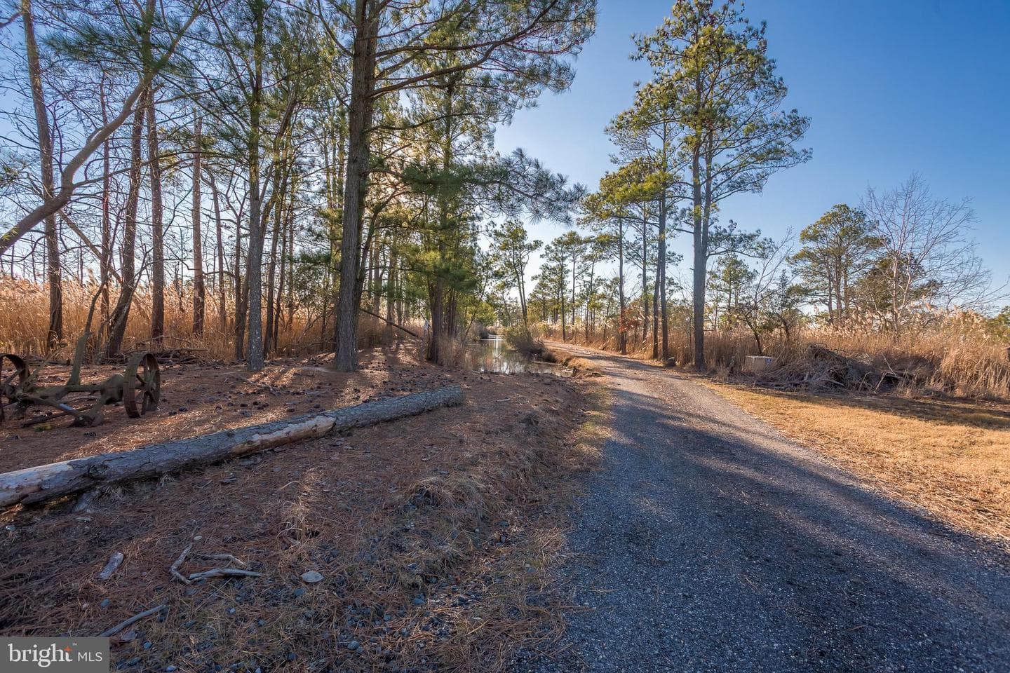 3819 Maple Dam Road photo 44