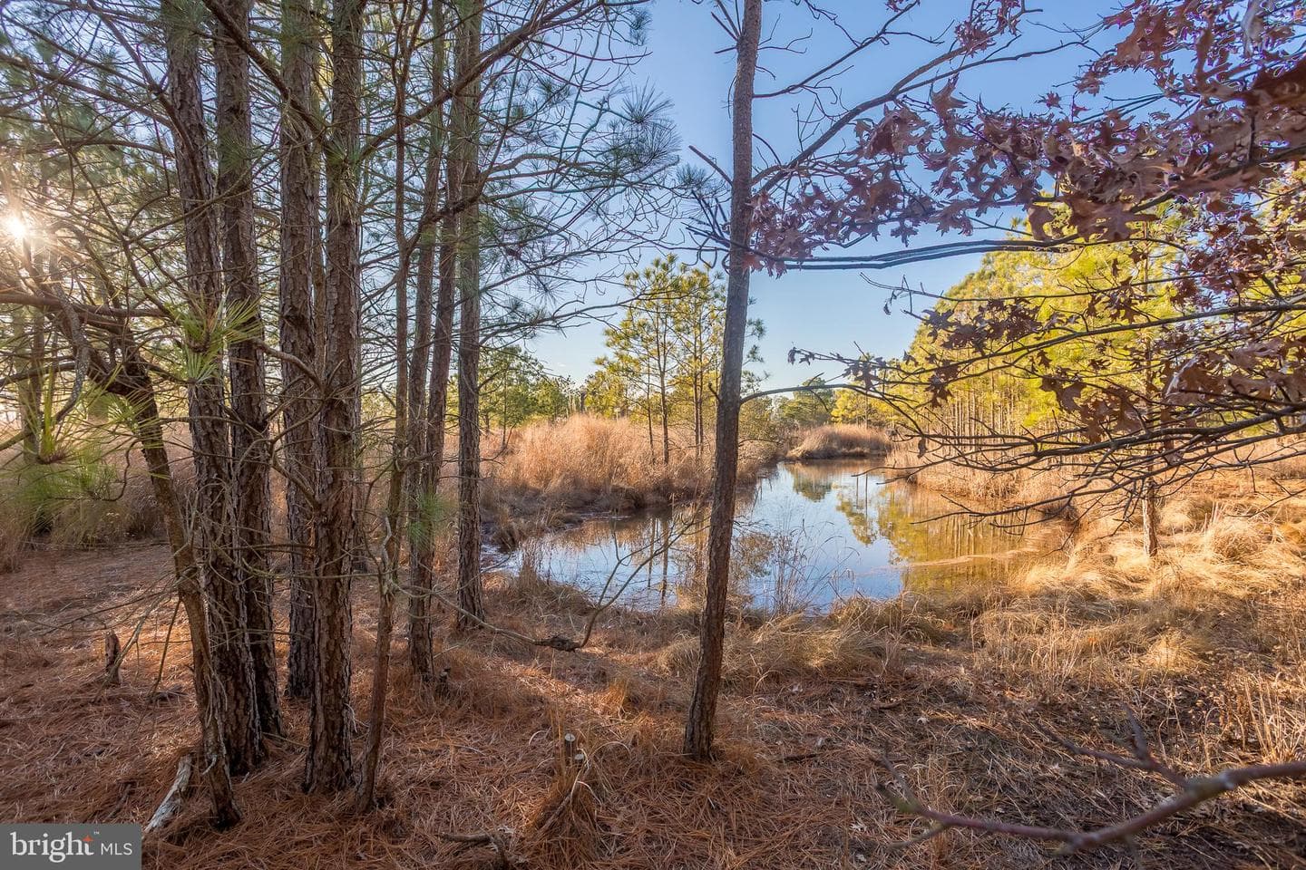 3819 Maple Dam Road photo 46