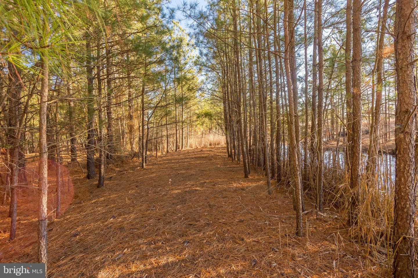 3819 Maple Dam Road photo 50
