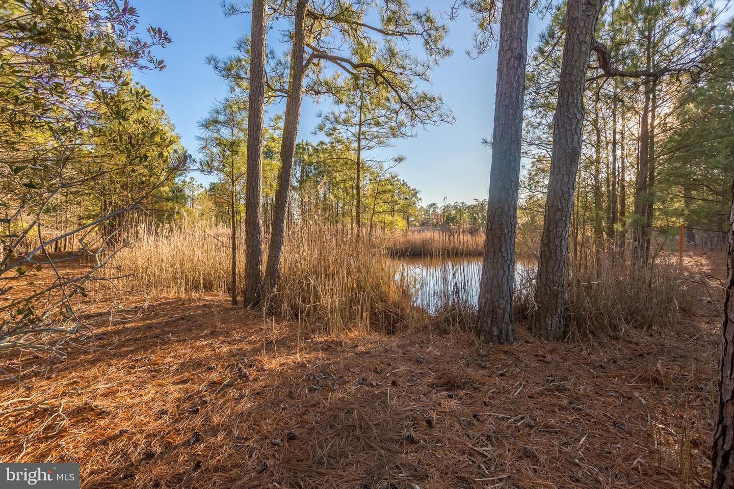 3819 Maple Dam Road photo 51