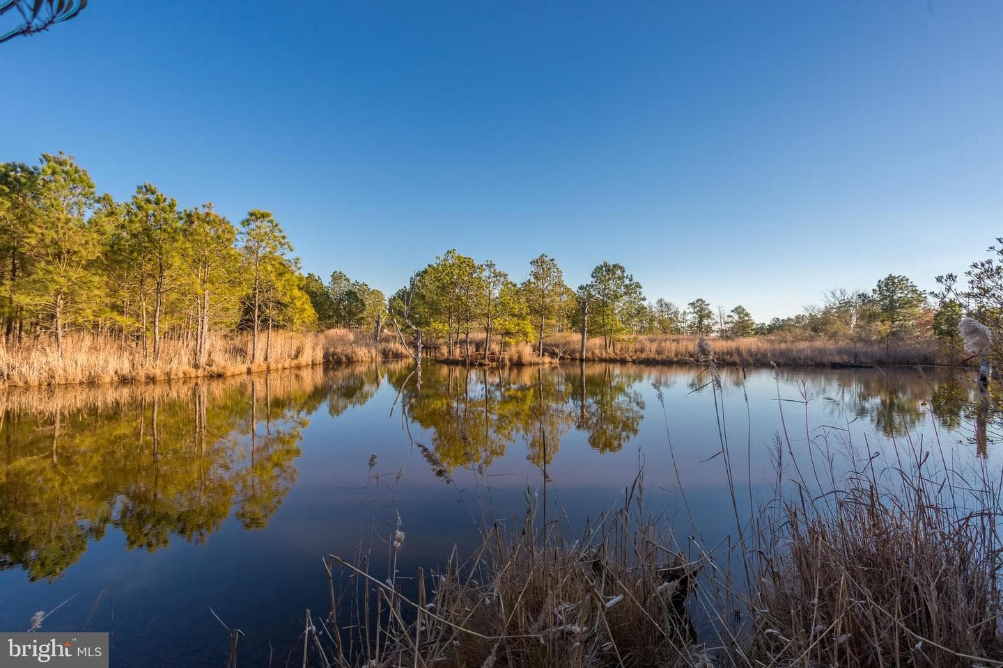 3819 Maple Dam Road photo 53