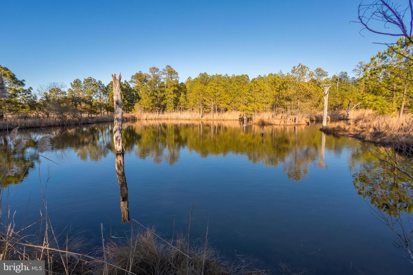 3819 Maple Dam Road photo 57