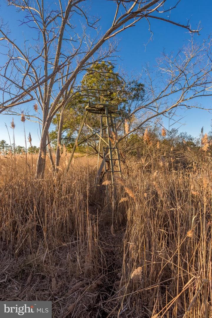 3819 Maple Dam Road photo 60