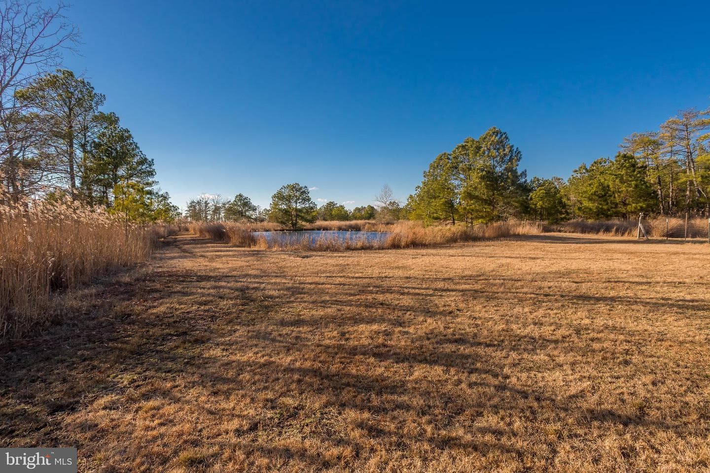 3819 Maple Dam Road photo 9