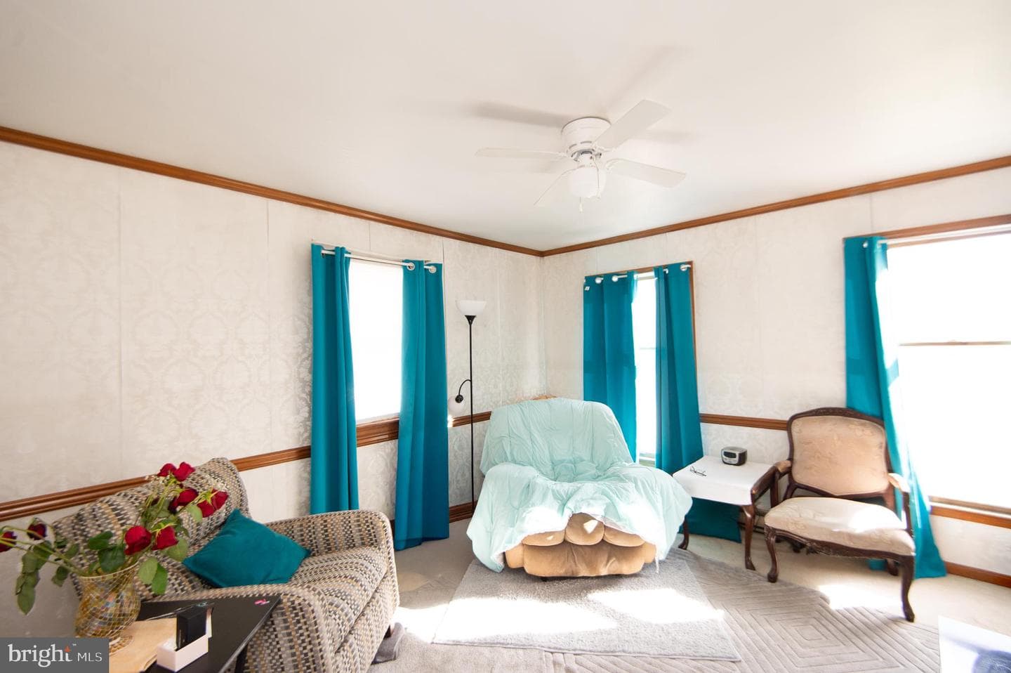 807 Bayly Road photo 13