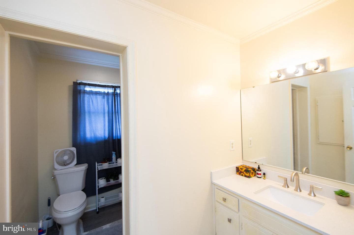 807 Bayly Road photo 28