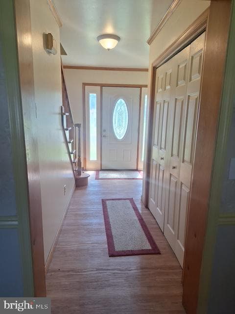807 Bayly Road photo 4
