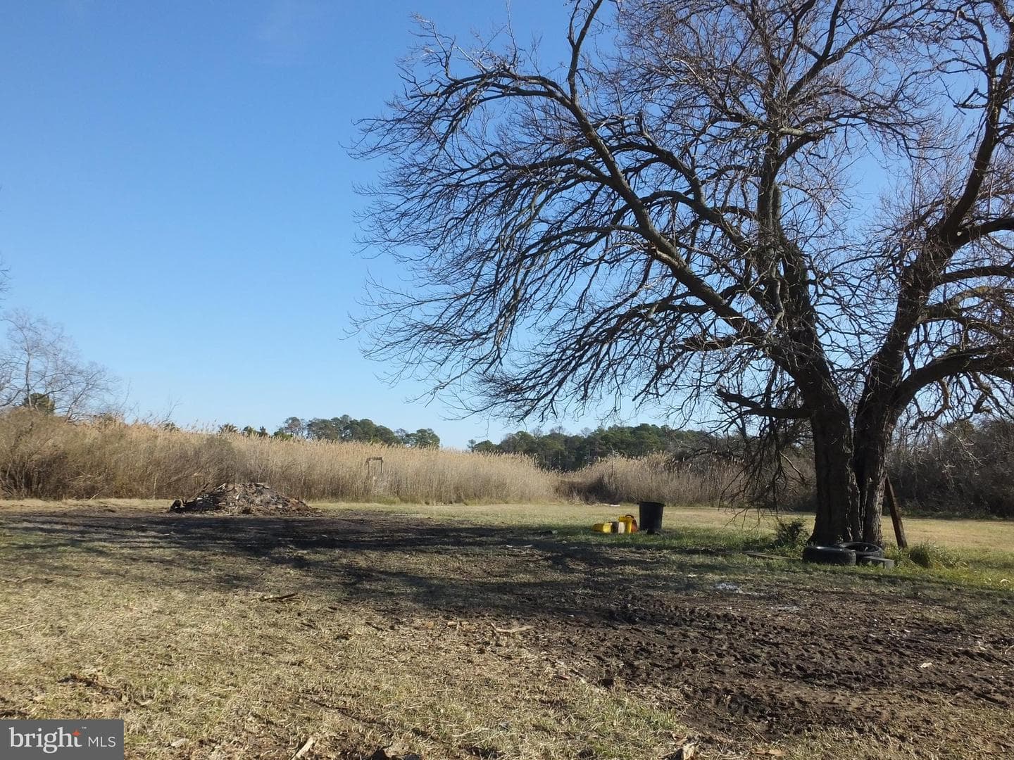 1213 Horse Point Road photo 3