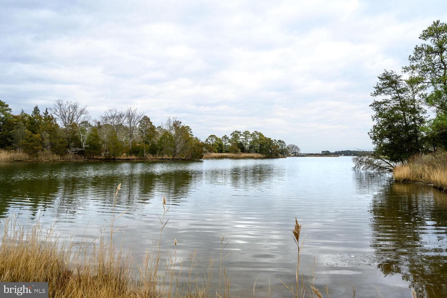 5211 Heron Road photo 6