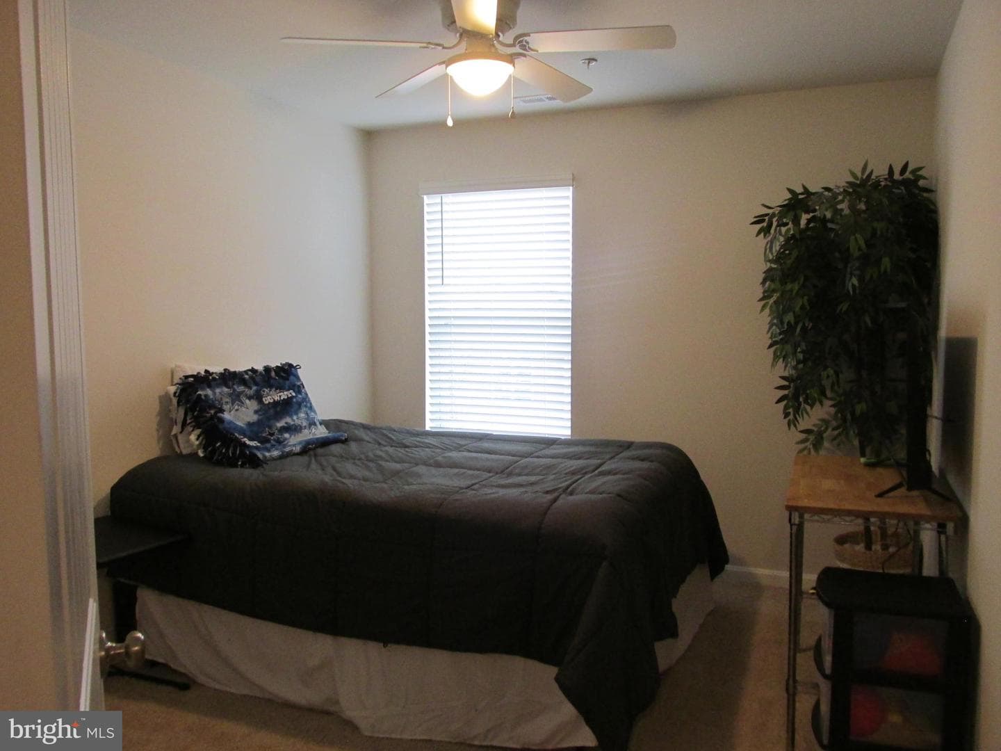 103 Night Heron Court photo 20