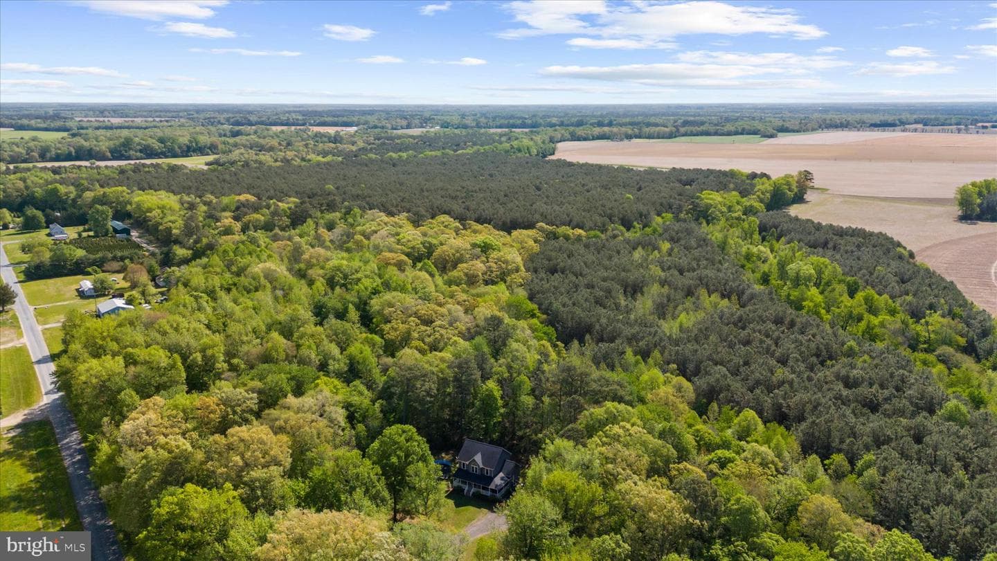 6941 Hubbard Road photo 53