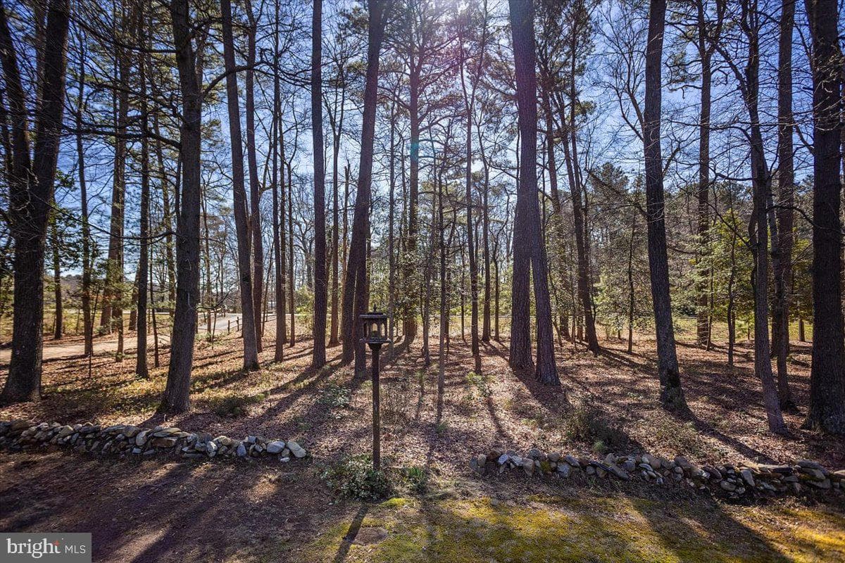 5256 Williamsburg Road photo 22