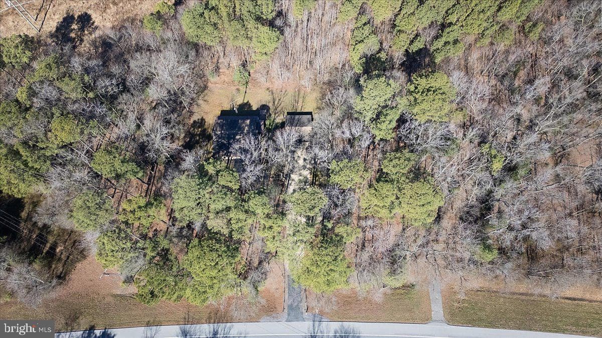 5256 Williamsburg Road photo 24