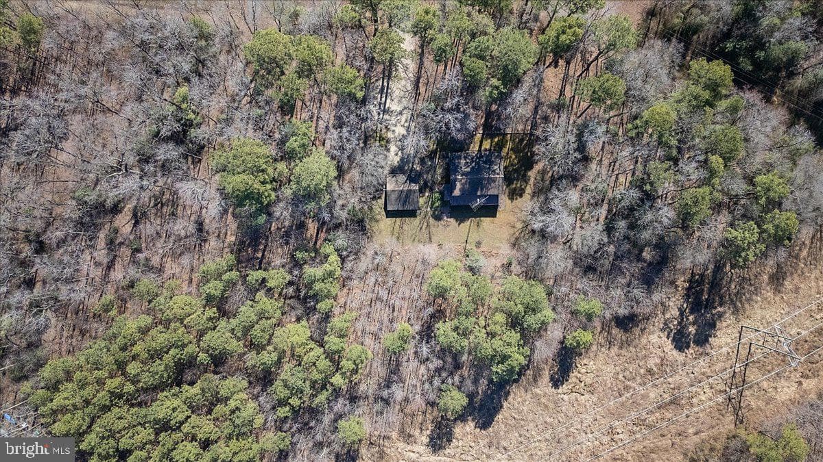 5256 Williamsburg Road photo 27