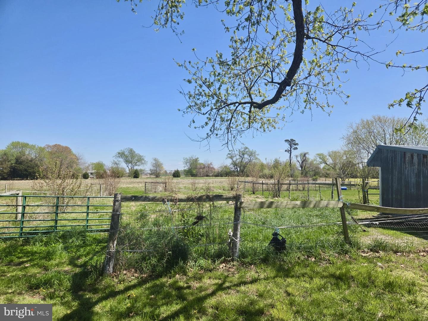 5125 Rhodesdale Road photo 39
