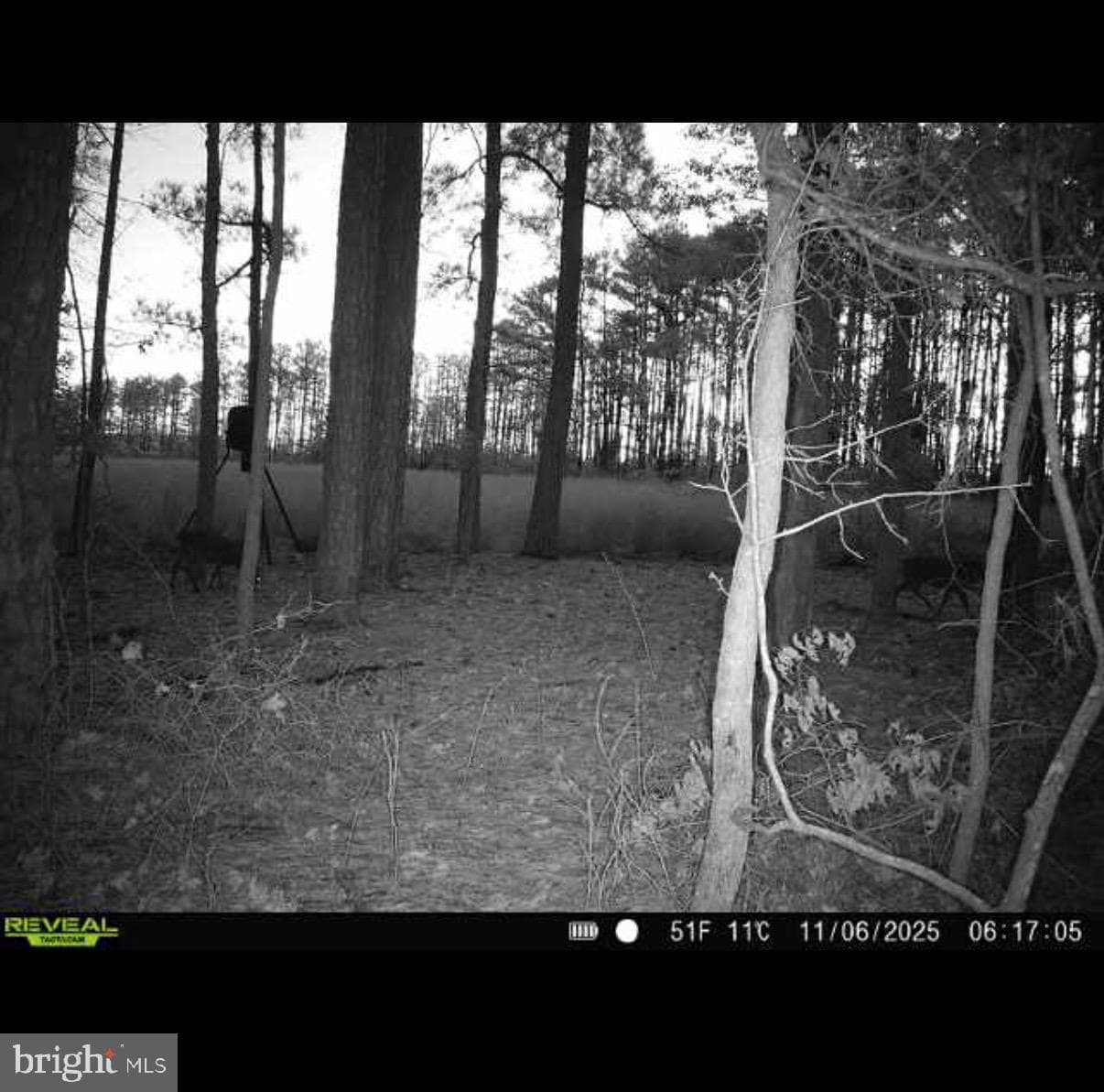 2839 Lakesville Crapo Road photo 16