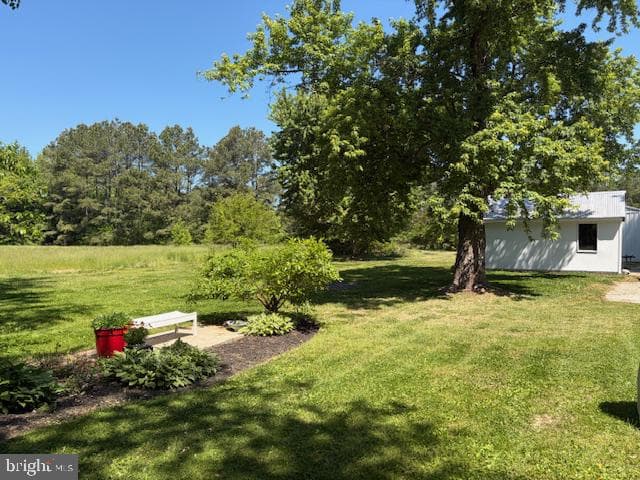 1209 Bayly Road photo 22