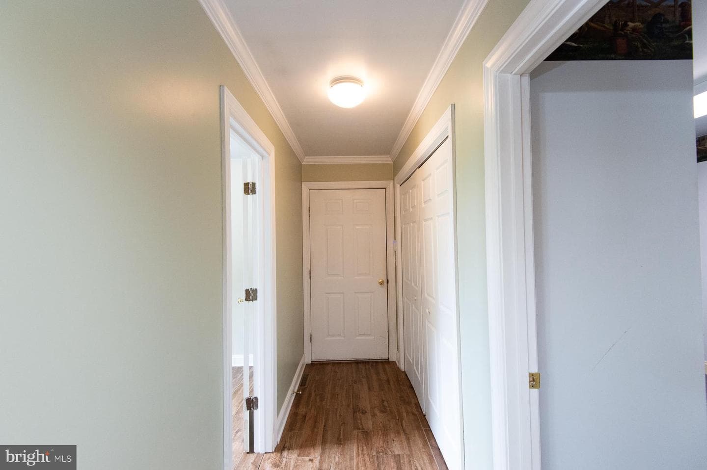 5403 Peach Tree Drive photo 42