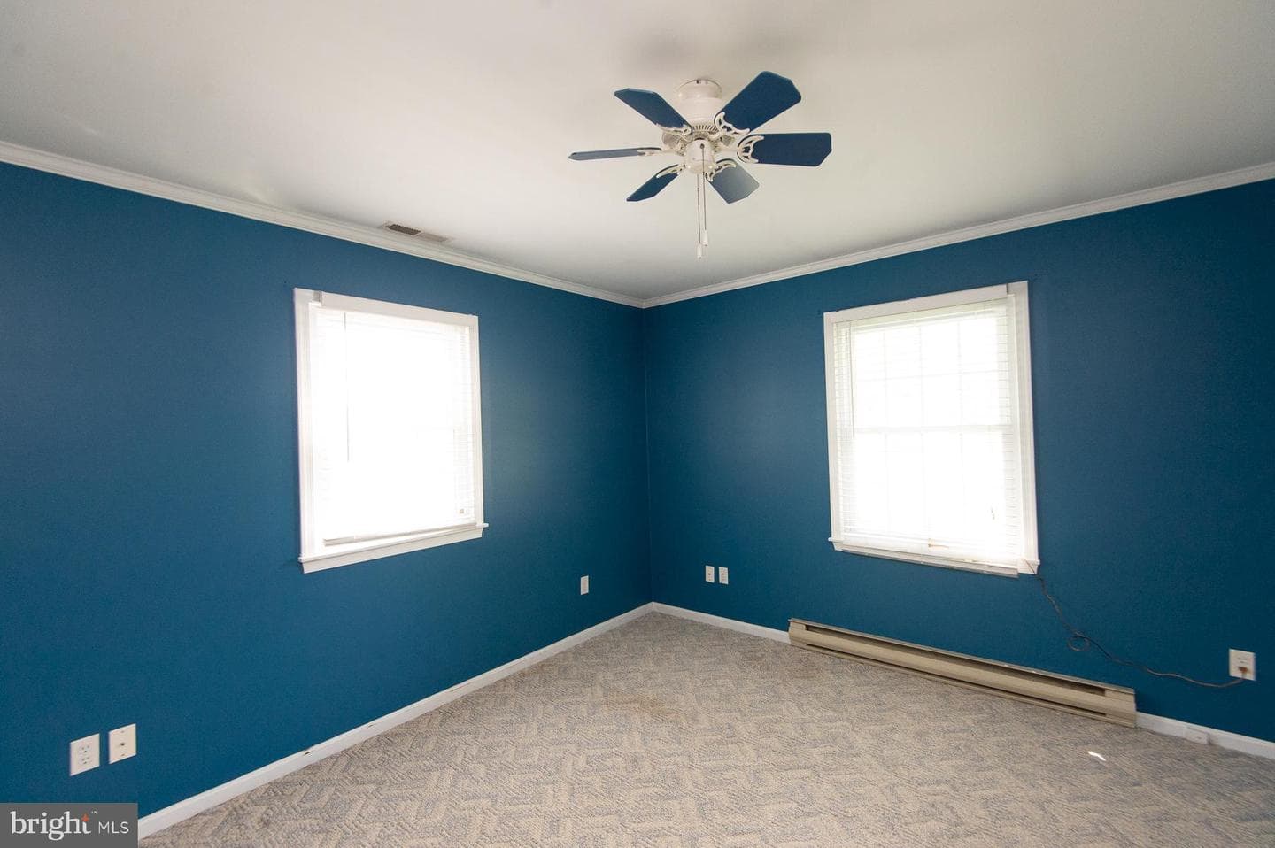 19 Holly Terrace photo 50