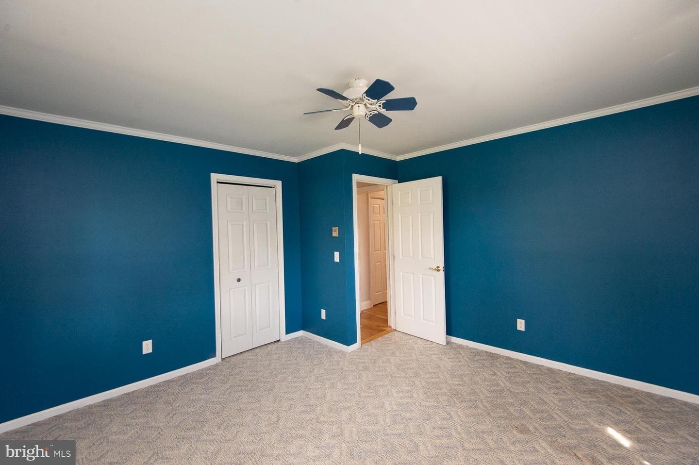 19 Holly Terrace photo 52