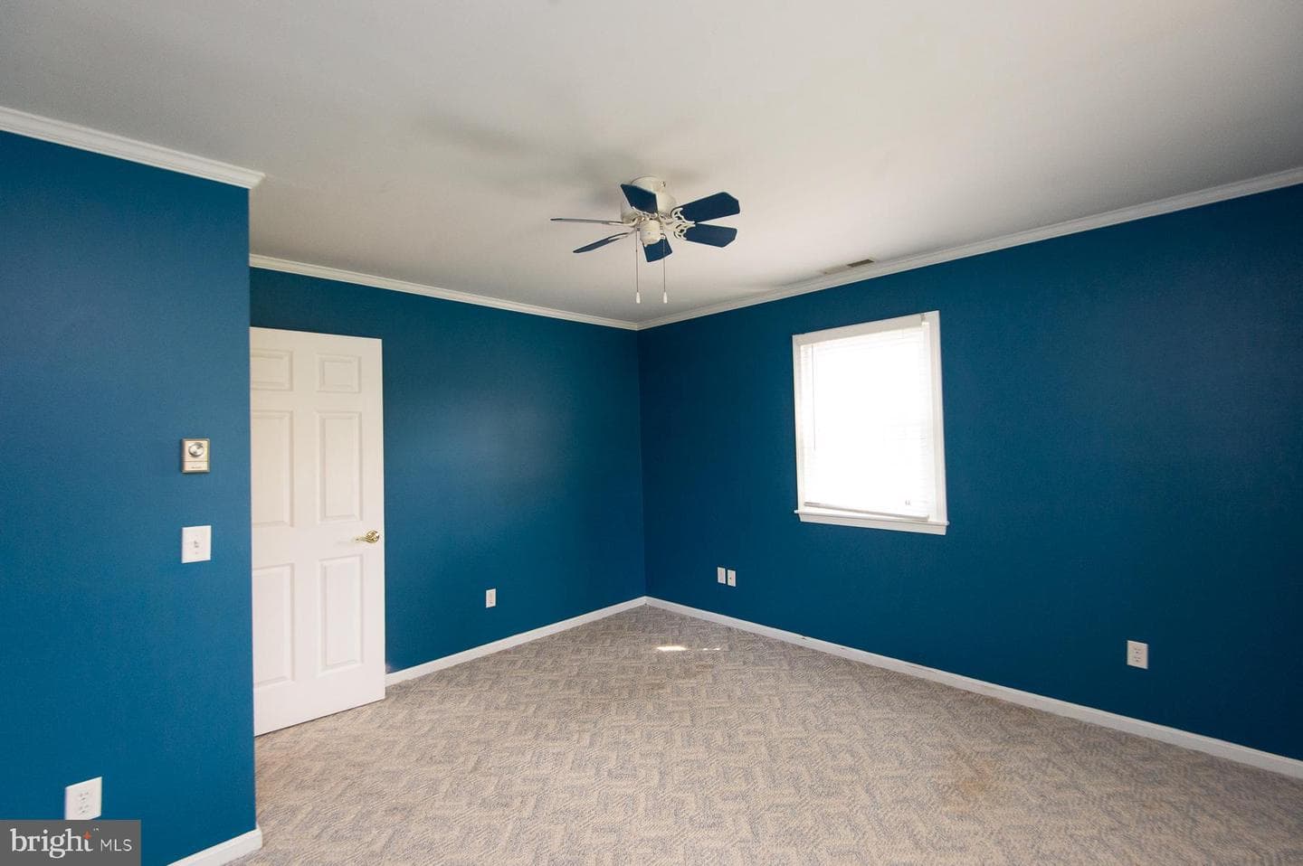 19 Holly Terrace photo 53