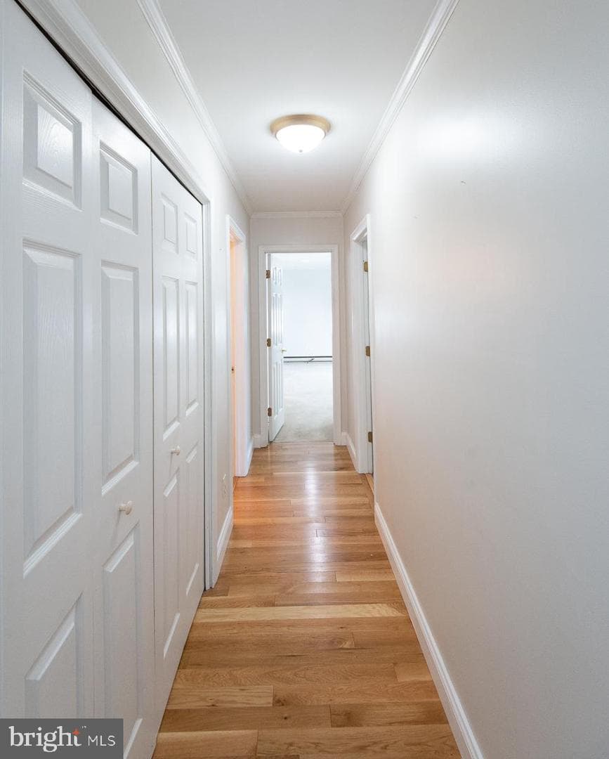 19 Holly Terrace photo 54