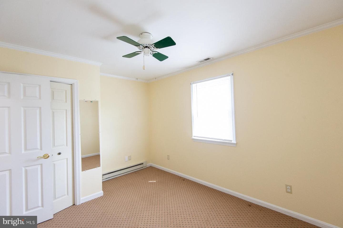 19 Holly Terrace photo 57