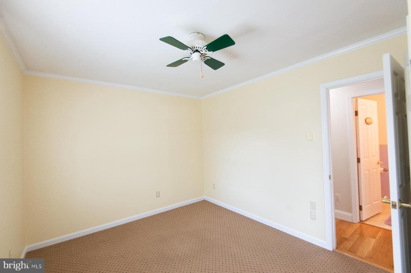 19 Holly Terrace photo 59