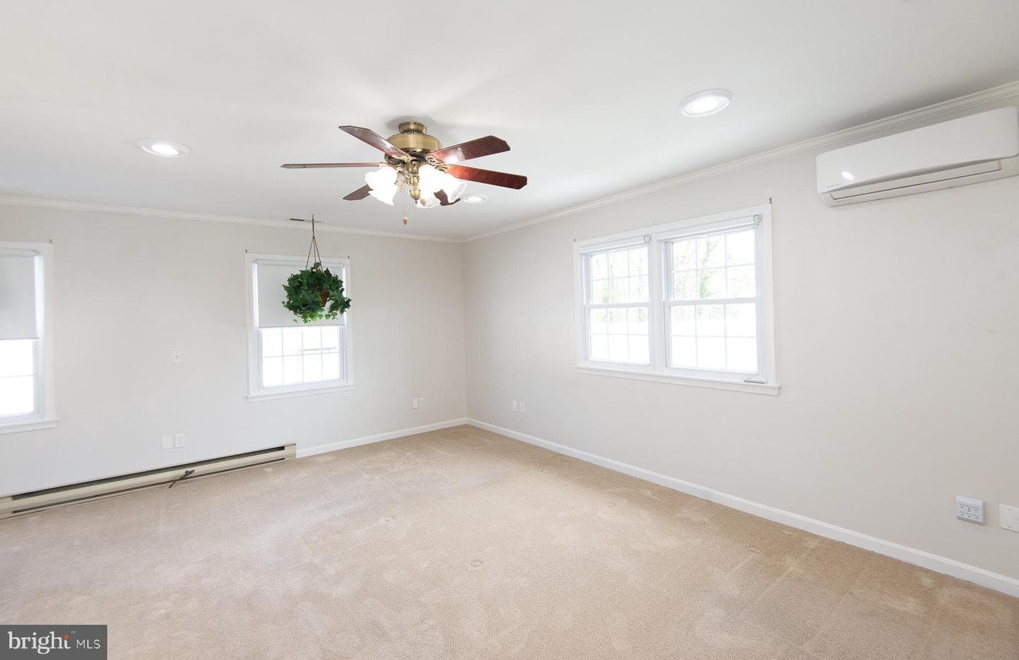 19 Holly Terrace photo 60