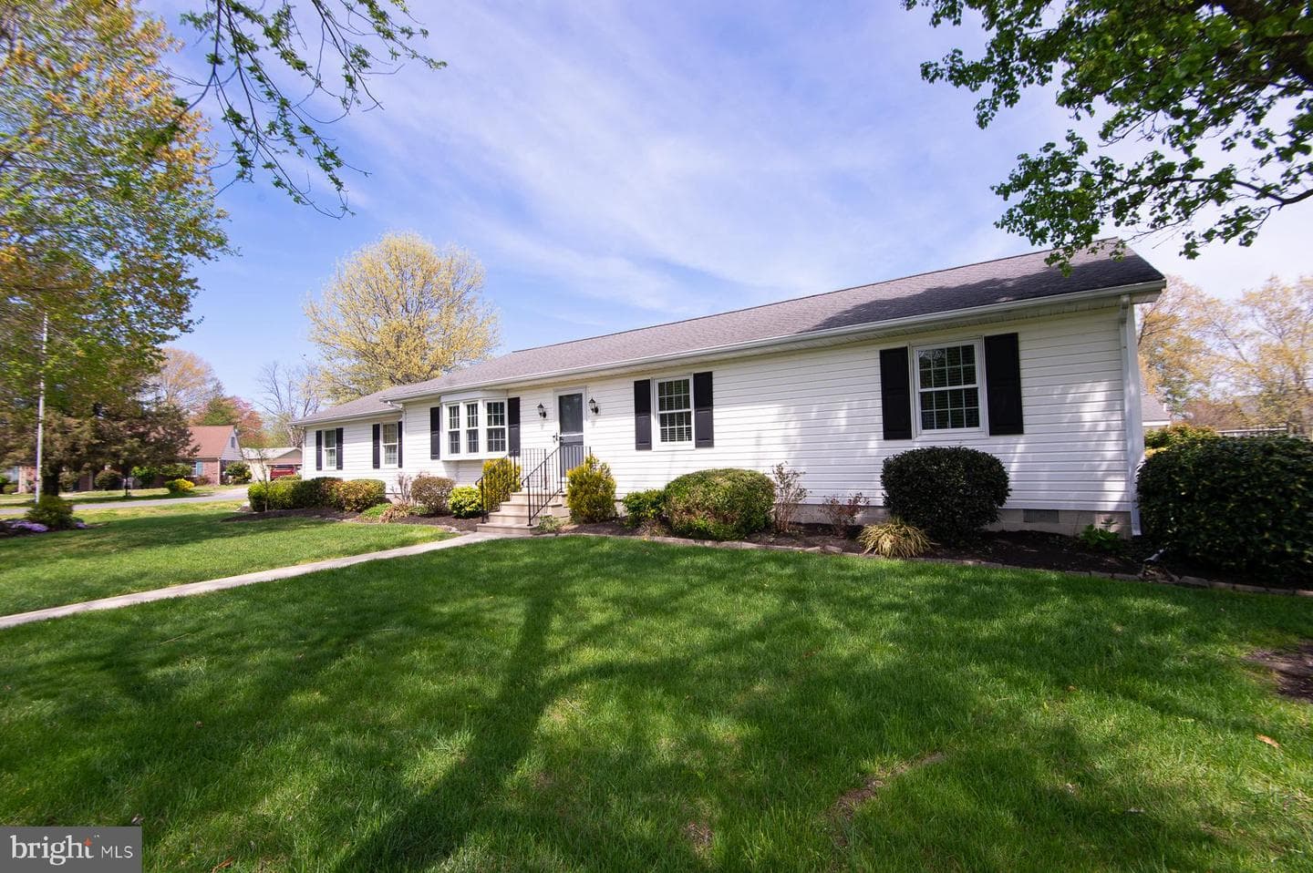 19 Holly Terrace photo 7