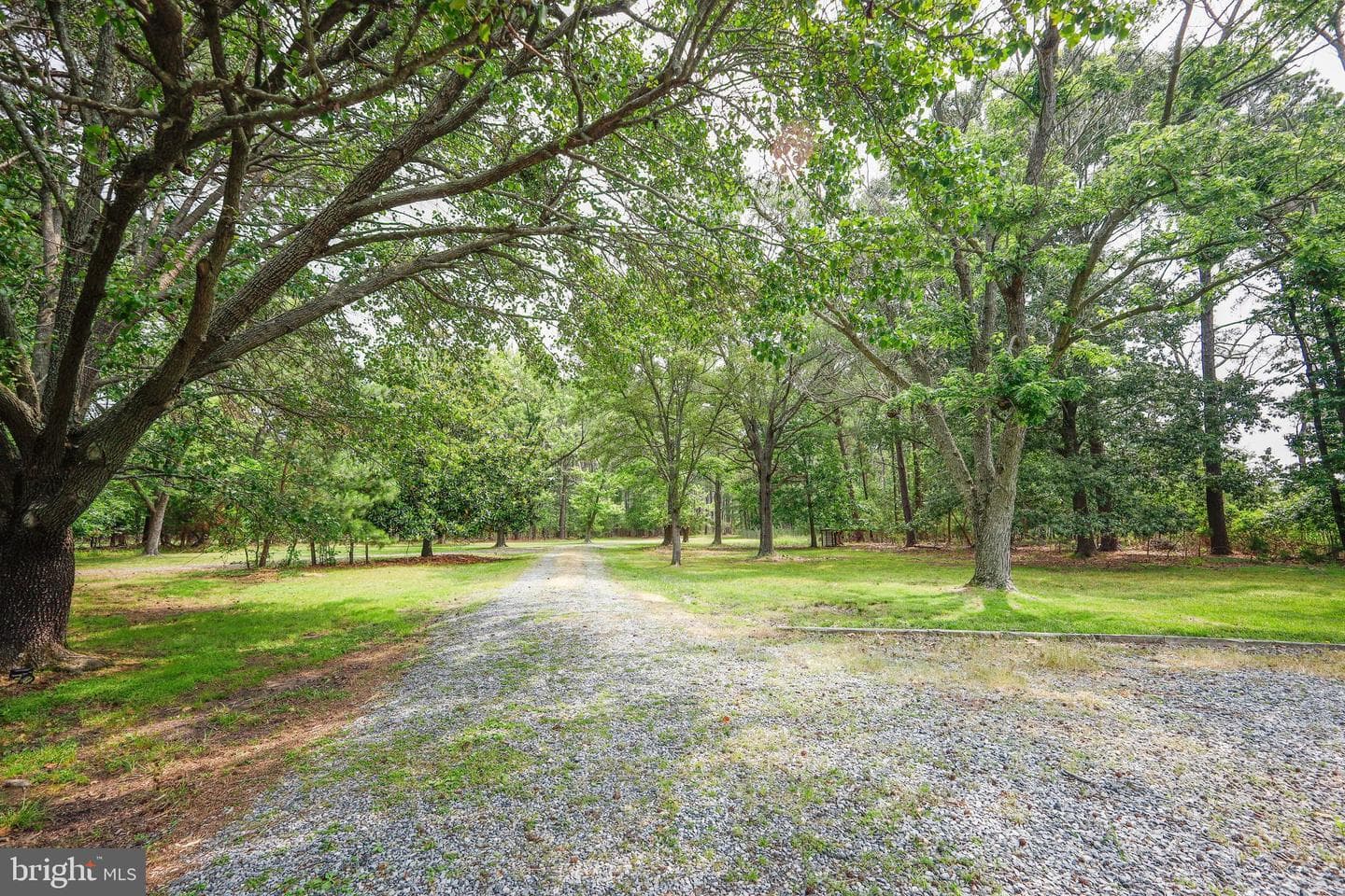 4004 Robinson Neck Road photo 62