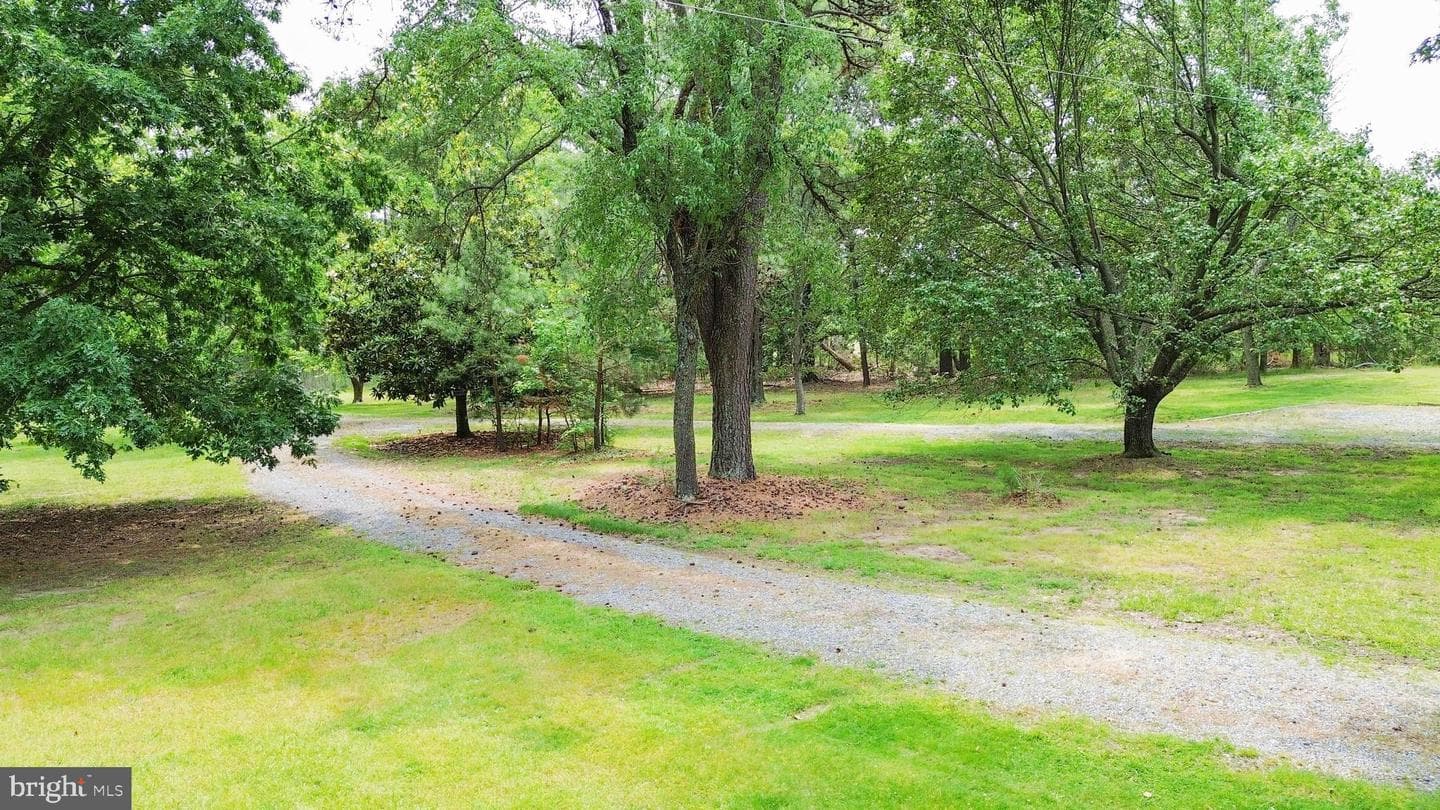 4004 Robinson Neck Road photo 63