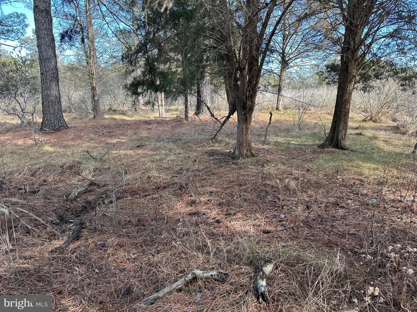 2775 Toddville Road photo 38