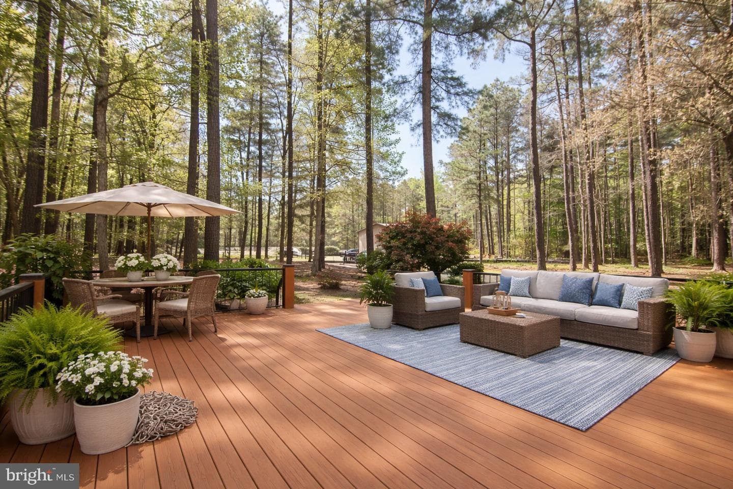 5951 Ross Neck Road, Cambridge