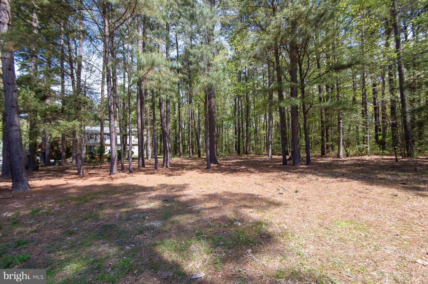 5951 Ross Neck Road photo 50