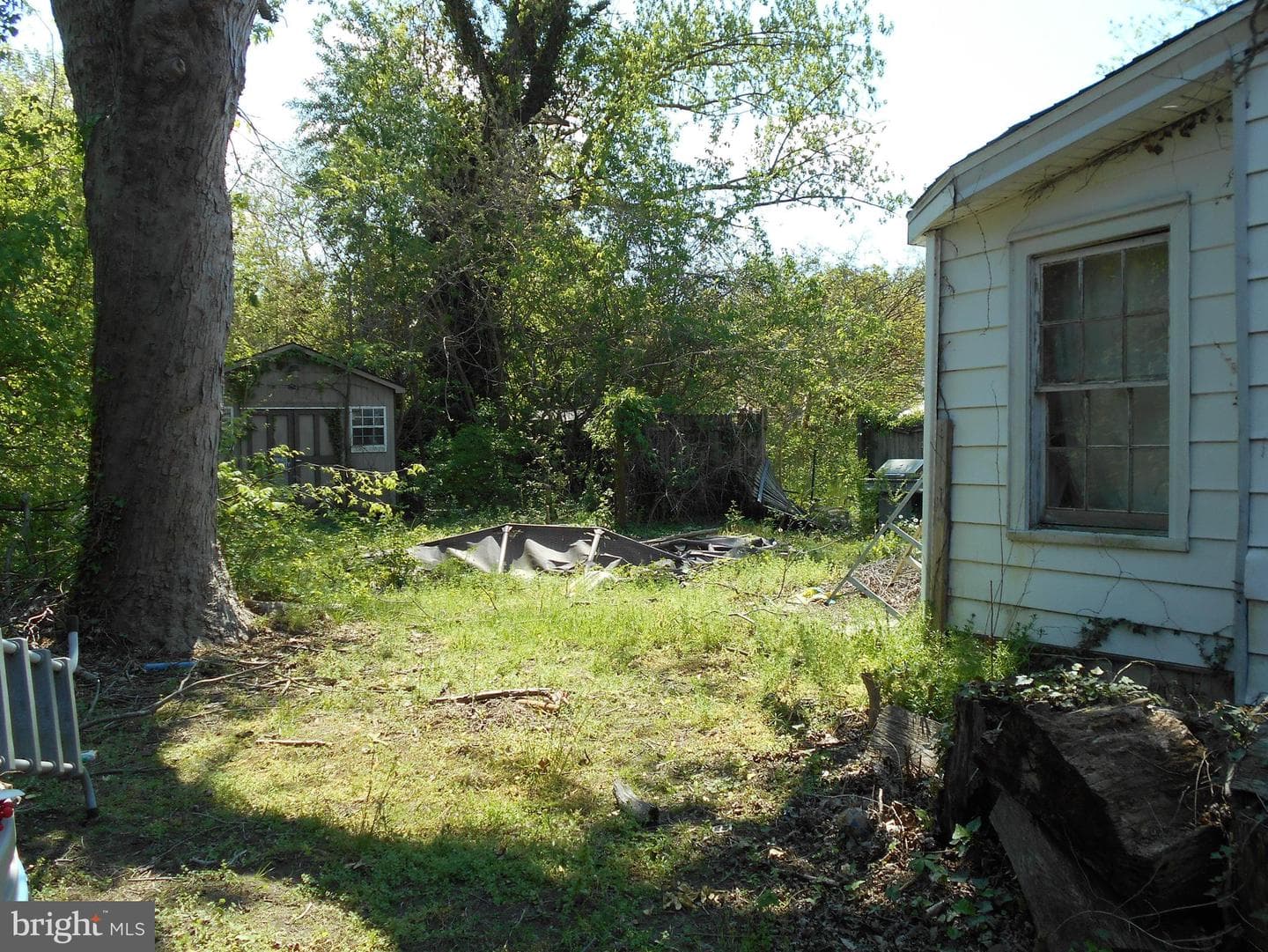 314 Muir Street photo 4