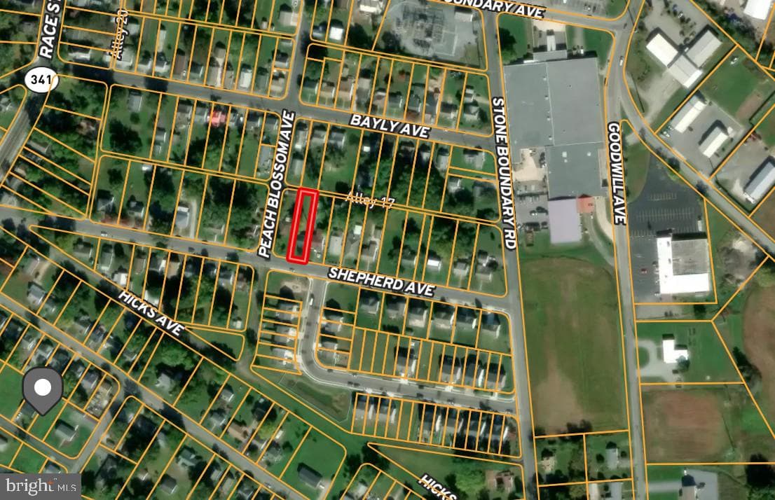 319 Shepherd Avenue photo 3