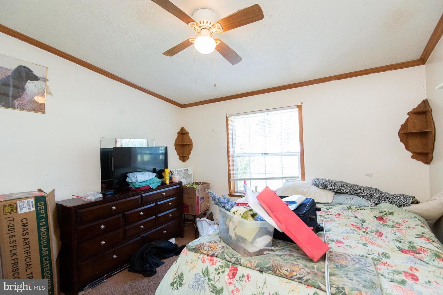 6504 Cabin Ridge Road photo 34