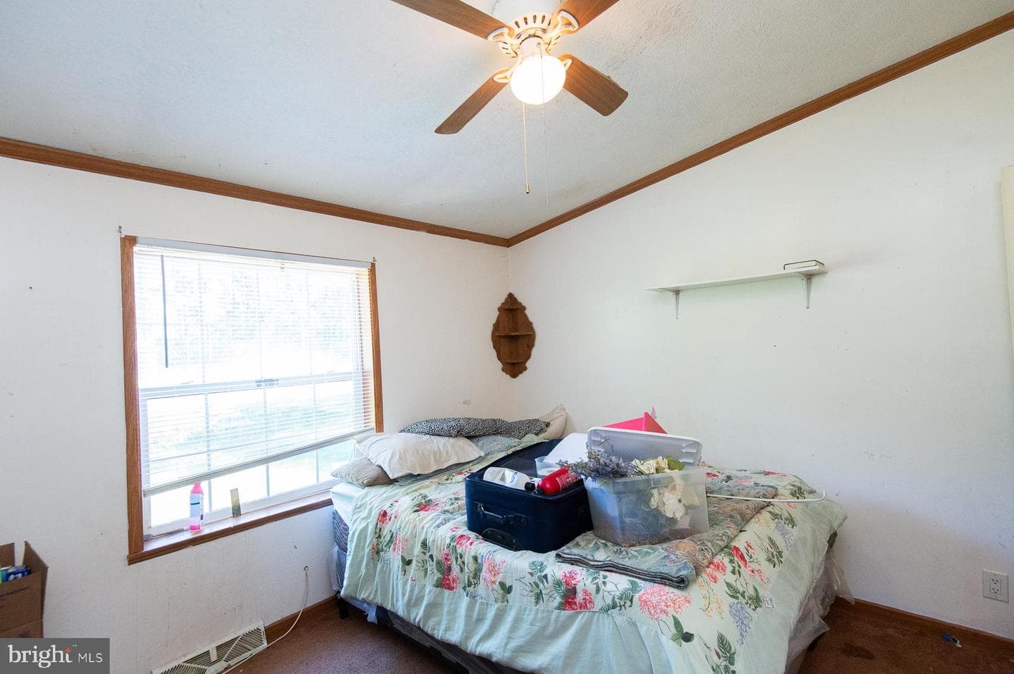 6504 Cabin Ridge Road photo 35