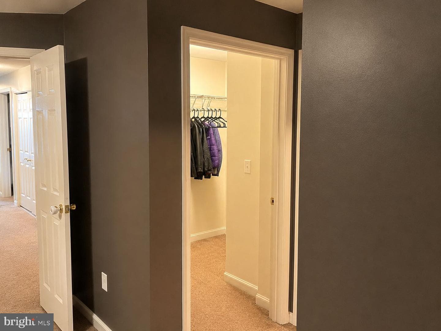 200 Wood Duck Dr photo 29