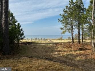 5332 Ragged Point Road photo 65
